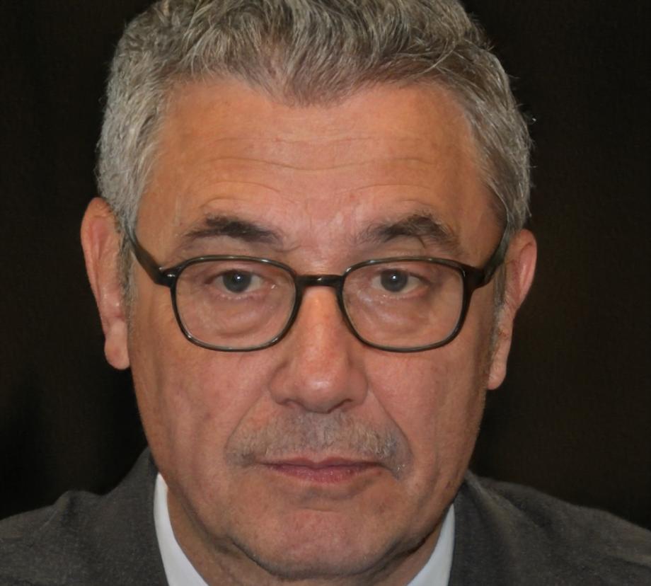 Consultor senior Fermín Castillo